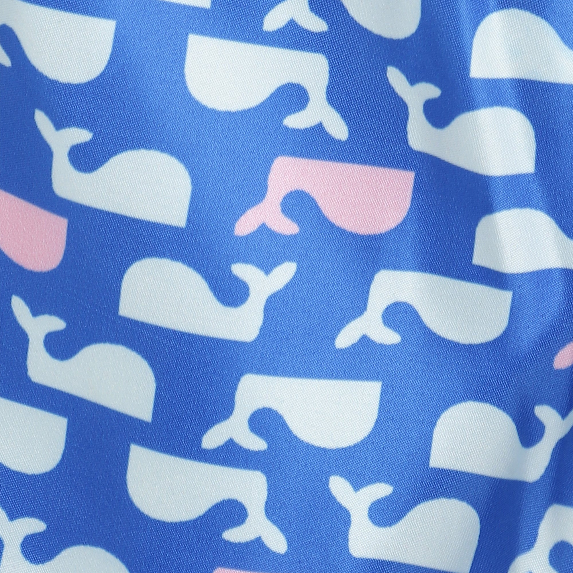 Caspian Boys & Toddlers Whale Swim Shorts